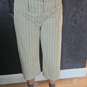 Xtraordinary Olive Striped Cropped Pants